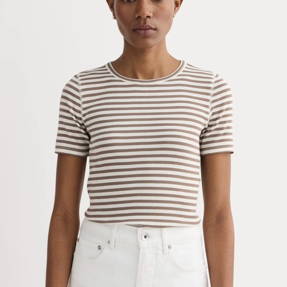 Everlane Brown and White Striped Short Sleeve Tee